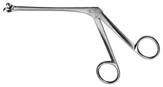 rhinology ms 37381
