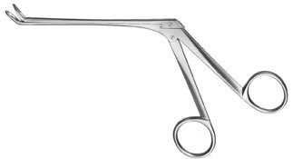 rhinology ms 37386