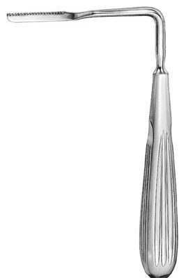 rhinology ms 37686