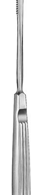 rhinology ms 37691