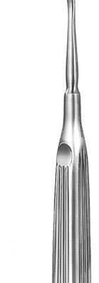 rhinology ms 37751