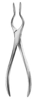 rhinology ms 37826