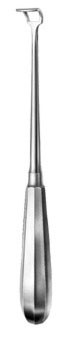 rhinology ms 37861