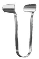 rhinology ms 37871