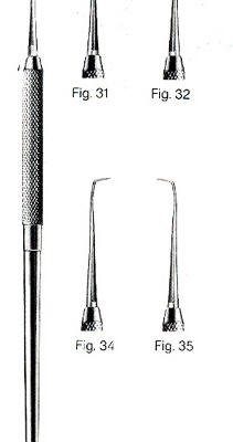 scaler ai 02 72 117
