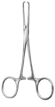 stomach intestines rectum ms 35826
