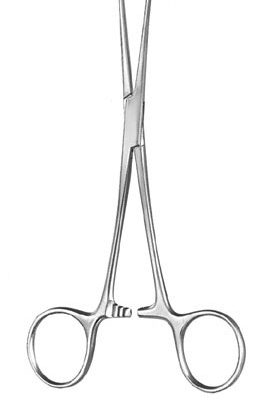stomach intestines rectum ms 35841