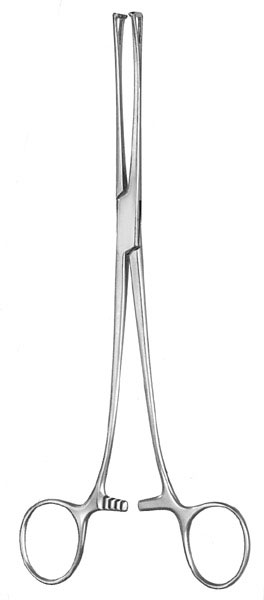 stomach intestines rectum ms 35866 stomach intestines rectum ms 35866