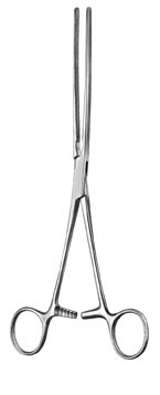 stomach intestines rectum ms 36001