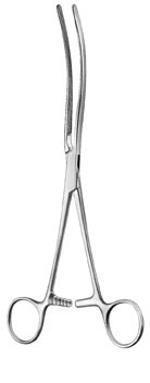 stomach intestines rectum ms 36006