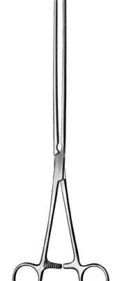stomach intestines rectum ms 36011