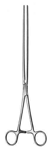 stomach intestines rectum ms 36011 stomach intestines rectum ms 36011
