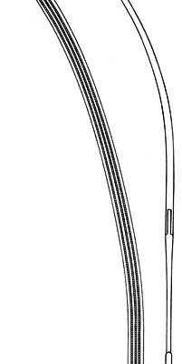 stomach intestines rectum ms 36016