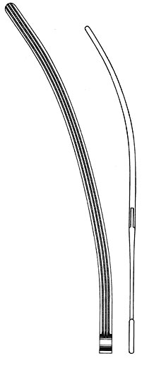 stomach intestines rectum ms 36016 stomach intestines rectum ms 36016