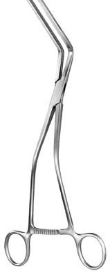 stomach intestines rectum ms 36026
