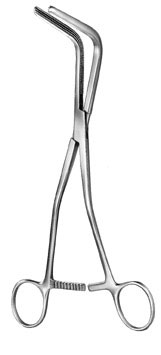 stomach intestines rectum ms 36031