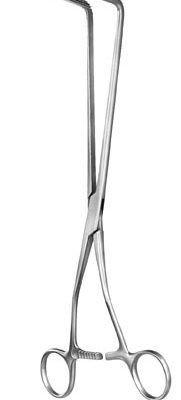 stomach intestines rectum ms 36041