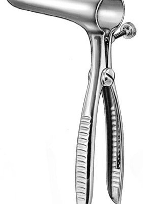 stomach intestines rectum ms 36046