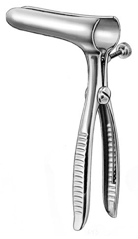 stomach intestines rectum ms 36046 stomach intestines rectum ms 36046