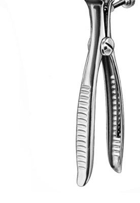 stomach intestines rectum ms 36051