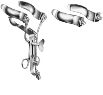 stomach intestines rectum ms 36061