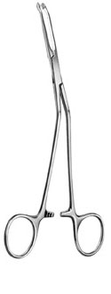 stomach intestines rectum ms 36071