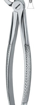 tooth ext forceps ai 02 51 01
