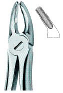 tooth ext forceps ai 02 51 02