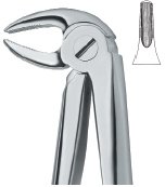 tooth ext forceps ai 02 51 03