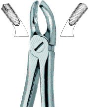 tooth ext forceps ai 02 51 04