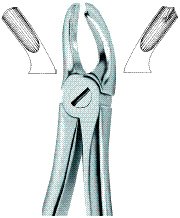 tooth ext forceps ai 02 51 05