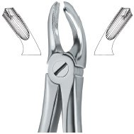 tooth ext forceps ai 02 51 06