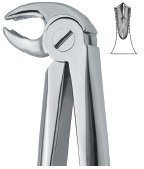 tooth ext forceps ai 02 51 07