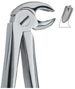 tooth ext forceps ai 02 51 08