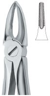tooth ext forceps ai 02 51 10