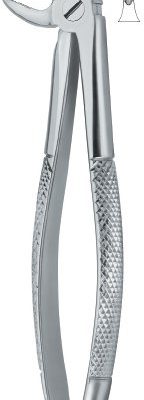 tooth ext forceps ai 02 51 11