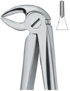 tooth ext forceps ai 02 51 12