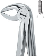 tooth ext forceps ai 02 51 13
