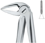 tooth ext forceps ai 02 51 14