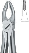 tooth ext forceps ai 02 51 15