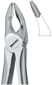 tooth ext forceps ai 02 51 16