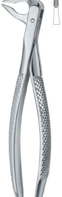tooth ext forceps ai 02 51 17