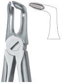 tooth ext forceps ai 02 51 18