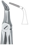 tooth ext forceps ai 02 51 19