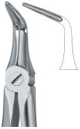tooth ext forceps ai 02 51 20