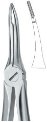 tooth ext forceps ai 02 51 21