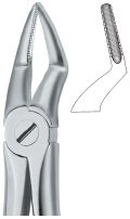 tooth ext forceps ai 02 51 22