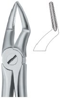tooth ext forceps ai 02 51 23