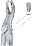 tooth ext forceps ai 02 51 25