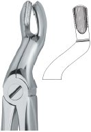tooth ext forceps ai 02 51 26